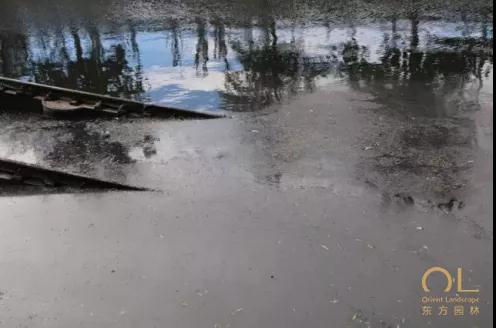 beat365亚洲体育官方网站