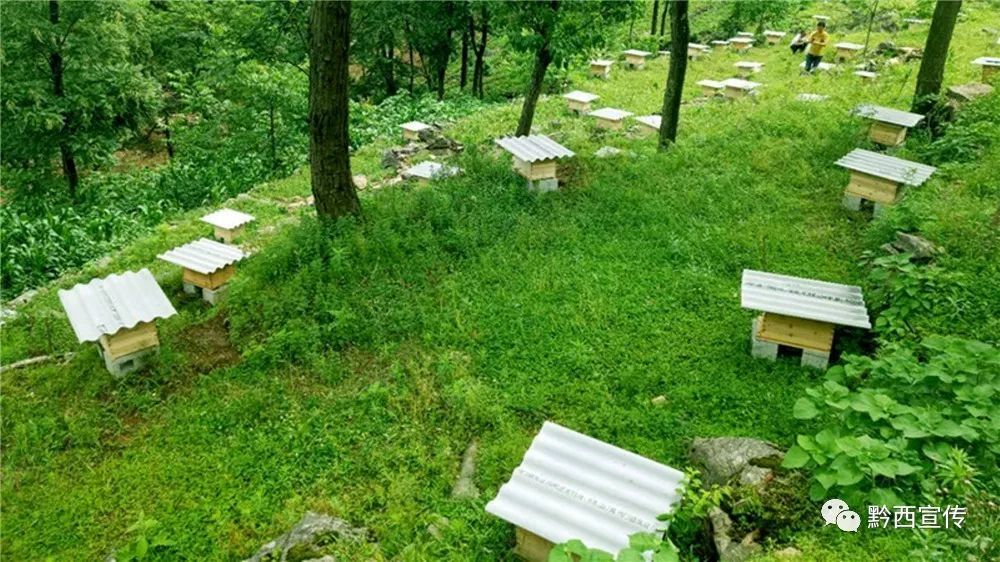 beat365亚洲体育官方网站