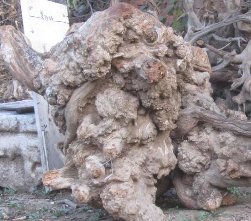 beat365亚洲体育官方网站