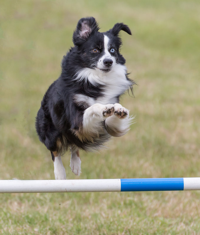 朱星杰为《亲爱的活祖宗》首度献唱片尾曲|beat·365(图2) beat·365