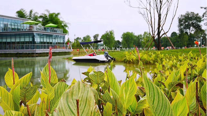 朱露莎人设太讨厌了 《带着爸爸去留学》朱露莎结局:beat·365(图3) beat365亚洲体育官方网站