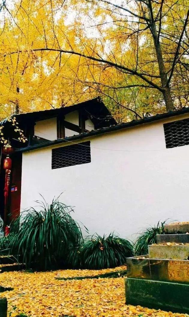 湖北第八场公车拍卖：7天仅60名竞拍者报名“beat365官网”