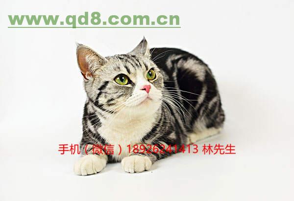 beat365亚洲体育官方网站