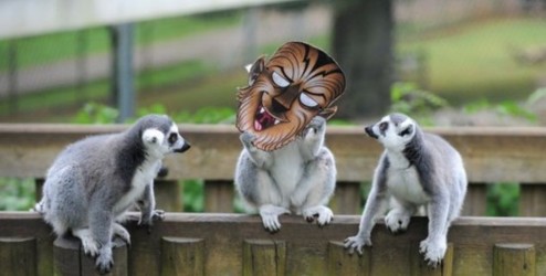 beat·365-沧滩社区:紧抓地质灾害巡查防控(图2) beat365亚洲体育官方网站