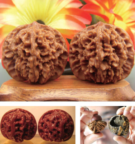 大藤峡水利枢纽工程成功实现大江截流-beat365官网(图1) beat365亚洲体育官方网站