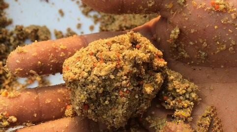 ‘beat365官网’府西社区:在职党员齐上阵 清洁家园迎峰会(图3) beat365官网