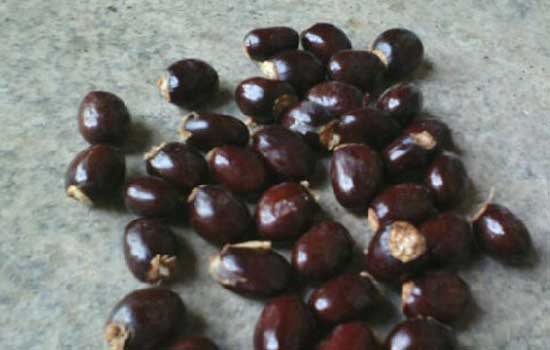 beat365亚洲体育官方网站