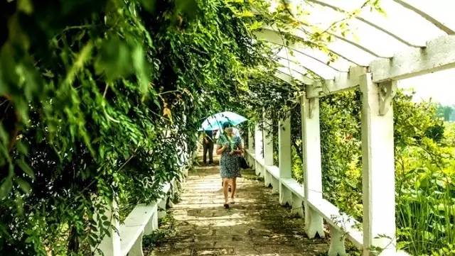 beat365亚洲体育官方网站